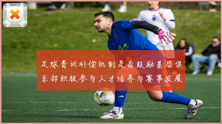 足球青训补偿机制是否鼓励基层俱乐部积极参与人才培养与赛事发展